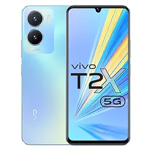 Vivo T2x 5G