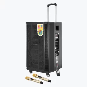 Zebronics Metal Karaoke Trolley Speaker