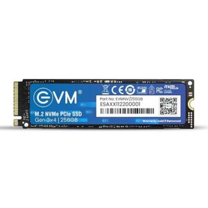 EVM NVME PCIe SSD 256 GB