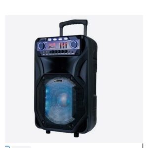 Mitsun 12 inch Trolley Bluetooth Speaker with Wireless Mics