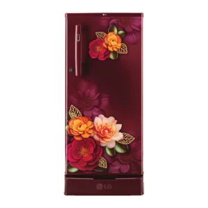 LG Refrigerator 185L 3-Star Single Door D199ORKD