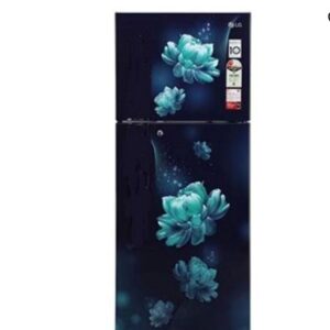 LG Frost-Free Refrigerator GL-N292BBCY